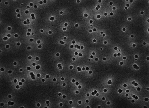 美国Millipore HTBP04700亲水聚碳酸酯47mm黑色光面0.4um表面滤膜