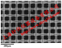 NY3009000 Millipore 30um*90mm尼龙网格膜