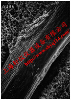 Millipore RW1914250 1.2um*142mm RW预过滤膜 Millipore RW1914250 1.2um*142mm RW预过滤膜
