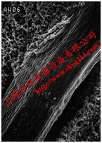  RW0604700 Millipore 0.5um*47mm RW预过滤膜