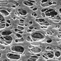 HPWP04700 Millipore Express亲水性PES 0.45um,47mm表面滤膜