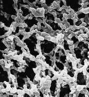 HAWP01300 MF-Millipore MCE亲水圆片滤膜,13mm,0.45um HAWP01300 MF-Millipore MCE亲水圆片滤膜,13mm,0.45um