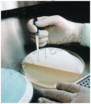 美国Merck Millipore默克密理博生命科学产品系列 美国Merck Millipore默克密理博生命科学产品系列