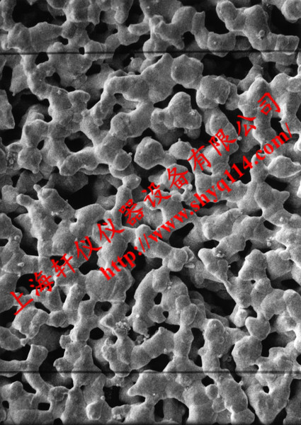 AG4502550 Millipore 0.45um*25mm亲水光面银膜 AG4502550 Millipore 0.45um*25mm亲水光面银膜