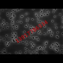 TETP02500 Millipore聚碳酸酯8um亲水25mm白色光面生物分析表面滤