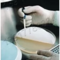 美国Merck Millipore默克密理博生命科学产品系列（九）