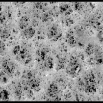 美国Millipore PVC白色光面5.0um表面滤膜