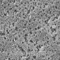 GNWP04700密理博0.22um*47mm亲水尼龙表面滤膜