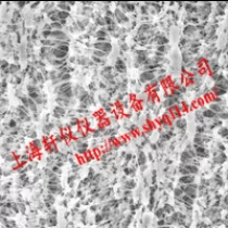 JGWP02500聚四氟乙烯PTFE亲水0.2um*25mm表面滤膜