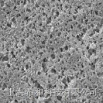 GNWP04700密理博0.22um*47mm亲水尼龙表面滤膜