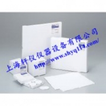 GB-100R日本TOYO Advantec玻璃纤维滤纸