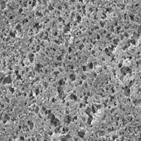 ANWP02500美国Millipore 0.8um尼龙表面滤膜